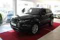 Daumennagel 2 - Land Rover Range Rover Evoque HSE Dynamic Panorama