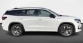 Daumennagel 7 - Skoda Kodiaq 2.0 TDI 4x4 Sportline  7-SITZER/AHK/KAMERA