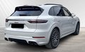 Daumennagel 4 - Porsche Cayenne E-Hybrid Platinum Edition