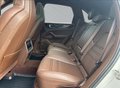 Daumennagel 27 - Porsche Cayenne E-Hybrid Platinum Edition