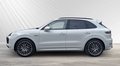Daumennagel 3 - Porsche Cayenne E-Hybrid Platinum Edition