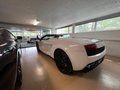 Daumennagel 10 - Lamborghini Gallardo LP560-4 E-Gear