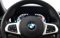 Daumennagel 17 - BMW 430 i M Sport AHK*