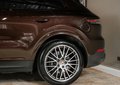 Daumennagel 10 - Porsche Cayenne E-Hybrid Platinum Edition