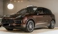 Daumennagel 1 - Porsche Cayenne E-Hybrid Platinum Edition