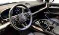 Daumennagel 18 - Porsche Cayenne E-Hybrid