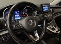 Daumennagel 19 - Mercedes-Benz V 250 CDI/BT/d extralang