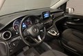 Daumennagel 21 - Mercedes-Benz V 250 CDI/BT/d extralang