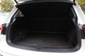 Daumennagel 20 - Volkswagen Tiguan 2.0 TDI R-Line/Highline 4Motion