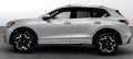 Daumennagel 8 - Volkswagen Tiguan 2.0 TDI 4Motion R-Line Winter-Paket
