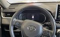 Daumennagel 10 - Toyota RAV4 2,5 ELHYBRID E-CVT 2WD ACTIVE
