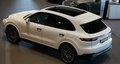 Thumbnail 15 - Porsche Cayenne E-Hybrid Panoramadach