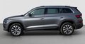 Daumennagel 2 - Skoda Kodiaq Style 4x4 KAMERA/AHK