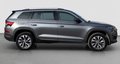 Daumennagel 8 - Skoda Kodiaq Style 4x4 KAMERA/AHK