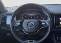 Daumennagel 11 - Skoda Kodiaq Style 4x4 KAMERA/AHK