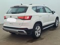 Daumennagel 7 - SEAT Ateca 2.0 TDI 4Drive DSG Xperience