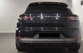 Daumennagel 3 - Porsche Cayenne Coupe E-Hybrid Platinum Edition