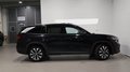 Daumennagel 3 - Skoda Kodiaq 2.0 TDI 4x4 Selection  AHK MEMORY