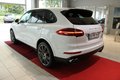 Daumennagel 3 - Porsche Cayenne S Diesel Platinum Edition PDLS*PASM
