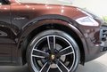 Daumennagel 9 - Porsche Cayenne Coupe E-Hybrid Platinum Edition Pano LED KAMERA