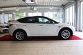 Daumennagel 8 - Tesla Model Y RWD *PANO*