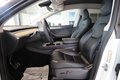 Daumennagel 19 - Tesla Model Y RWD *PANO*
