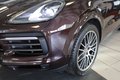 Daumennagel 9 - Porsche Cayenne Coupe E-Hybrid Platinum Edition