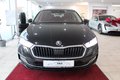 Daumennagel 10 - Skoda Octavia Combi 2.0 TDI DSG MEMORY AMBIENTE LENKRADHZG