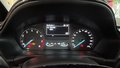Daumennagel 19 - Ford Fiesta Cool & Connect