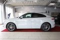 Daumennagel 2 - Porsche Cayenne Coupe E-Hybrid Platinum Edition