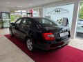 Daumennagel 4 - Skoda Octavia Elegance Green-tec PDC SHZ