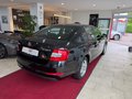Daumennagel 7 - Skoda Octavia Elegance Green-tec PDC SHZ