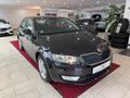 Daumennagel 8 - Skoda Octavia Elegance Green-tec PDC SHZ