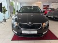 Daumennagel 9 - Skoda Octavia Elegance Green-tec PDC SHZ