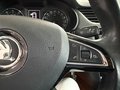 Daumennagel 14 - Skoda Octavia Elegance Green-tec PDC SHZ