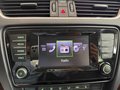 Daumennagel 16 - Skoda Octavia Elegance Green-tec PDC SHZ