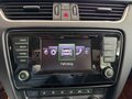 Daumennagel 17 - Skoda Octavia Elegance Green-tec PDC SHZ