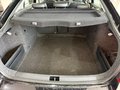 Daumennagel 22 - Skoda Octavia Elegance Green-tec PDC SHZ