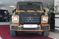 Daumennagel 2 - Mercedes-Benz G 350 d AMG-LINE EDITION LEGEND