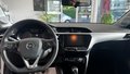 Daumennagel 12 - Opel Corsa F Edition
