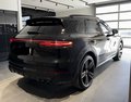 Daumennagel 9 - Porsche Cayenne E-Hybrid Platinum Edition