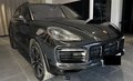 Daumennagel 10 - Porsche Cayenne E-Hybrid Platinum Edition