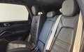 Daumennagel 25 - Porsche Cayenne E-Hybrid Platinum Edition