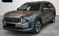 Daumennagel 1 - Skoda Kodiaq 1.5 TSI mHEV 7-Sitzer AHK KAMERA