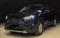 Daumennagel 1 - Toyota RAV4 Hybrid 4x4 GR Sport