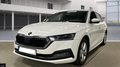 Daumennagel 1 - Skoda Octavia 2.0 TDI Style*AHK*Sitzheizung