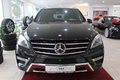 Daumennagel 11 - Mercedes-Benz ML 350 CDI BlueTEC 4MATIC  TEMPOMAT AHK SITZBELÜFTUNG MEMORY-SITZE ELE. PANORAMA