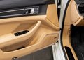 Thumbnail 15 - Porsche Panamera 4 E-Hybrid Platinum Edition