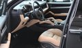 Daumennagel 9 - Porsche Cayenne S E-Hybrid  AHK/BOSE/PANO
