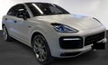 Daumennagel 2 - Porsche Cayenne Coupe E-Hybrid Platinum Edition